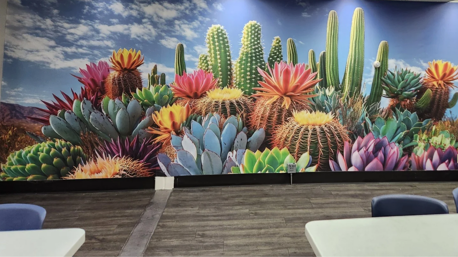 Colorful cactus custom indoor wallpaper