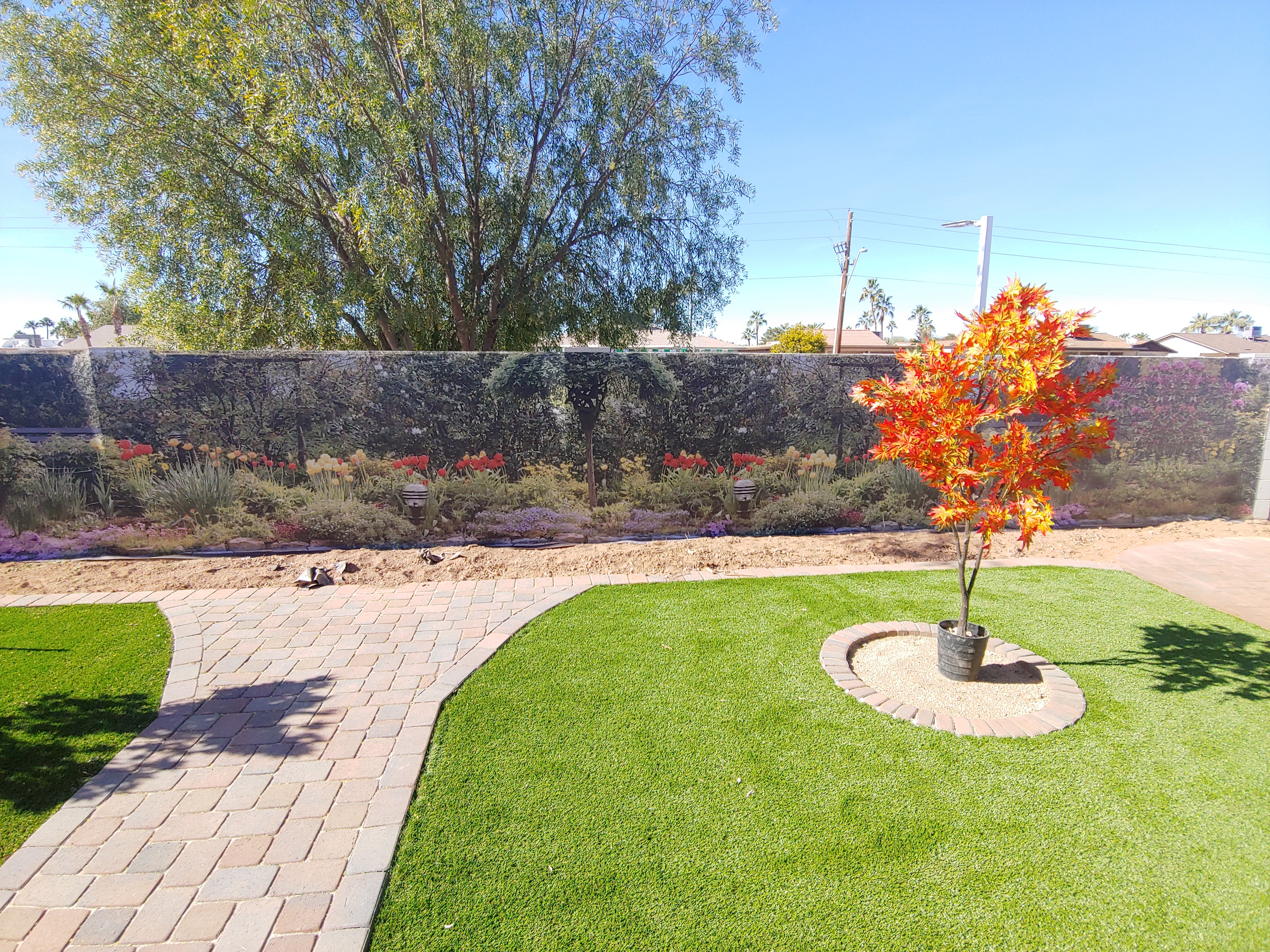 8141 - Flower Garden, Panoramic