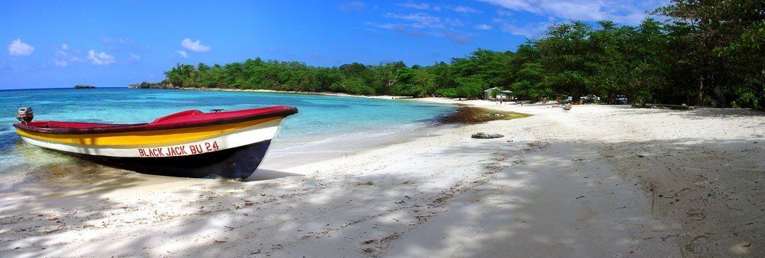 Winnifred Beach mural with turquoise water and golden sands, perfect for indoor and outdoor spaces.