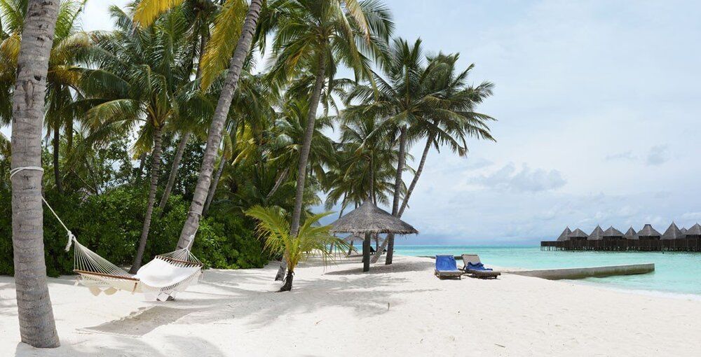 Maldives resort mural with palms and hammock, ideal for indoor and outdoor spaces.