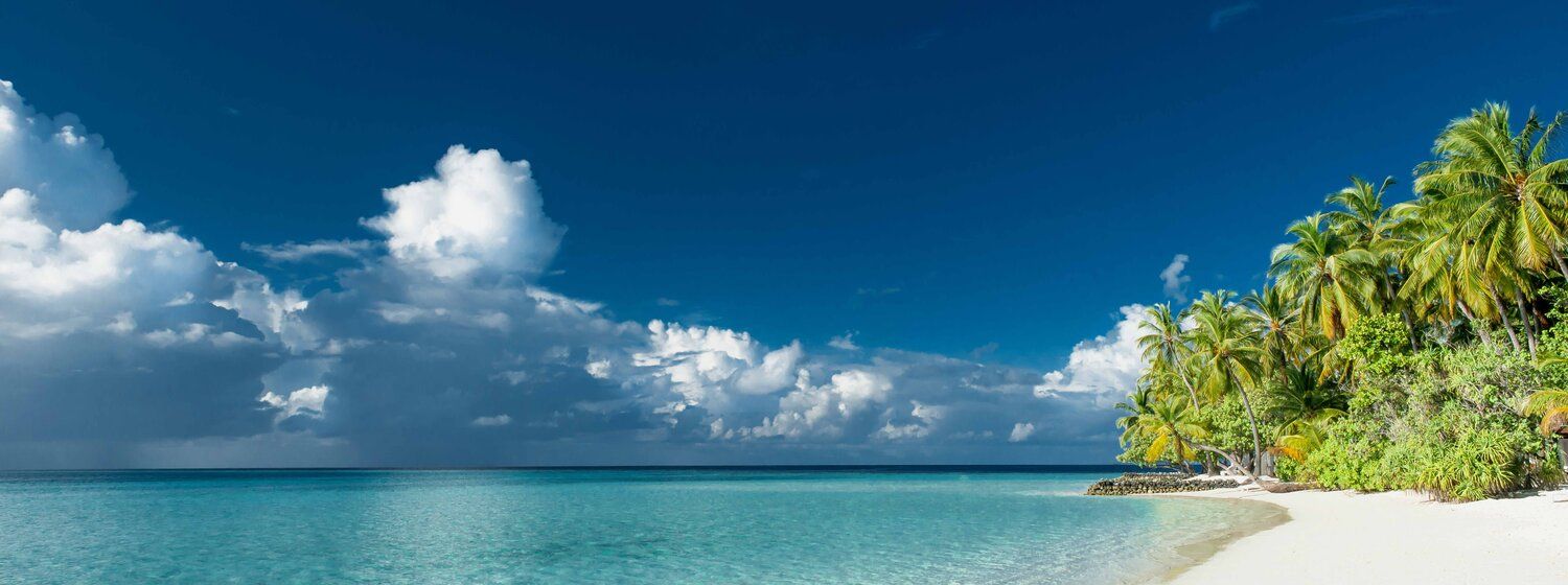 Tropical beach mural with palms, clouds, and sea, perfect for indoor and outdoor spaces.