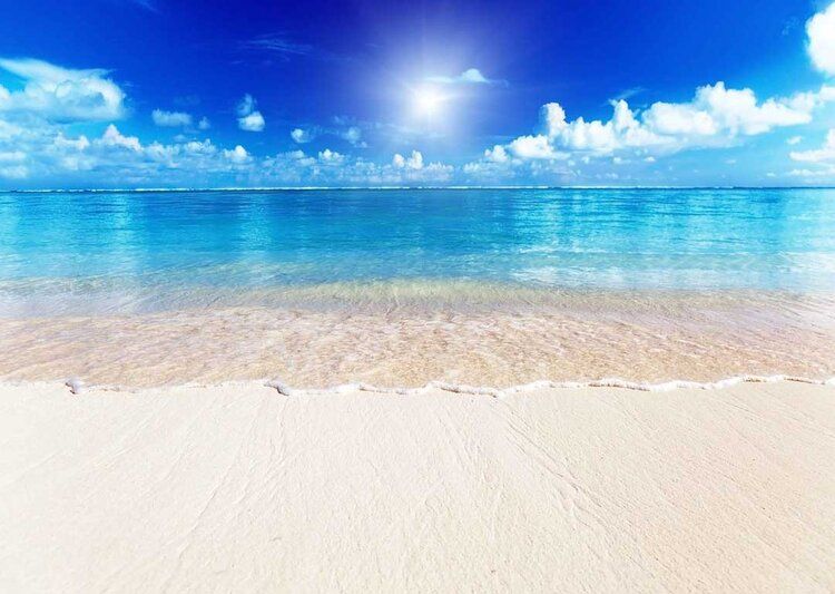 Caribbean beach mural with soft sand and turquoise sea, ideal for indoor and outdoor spaces.