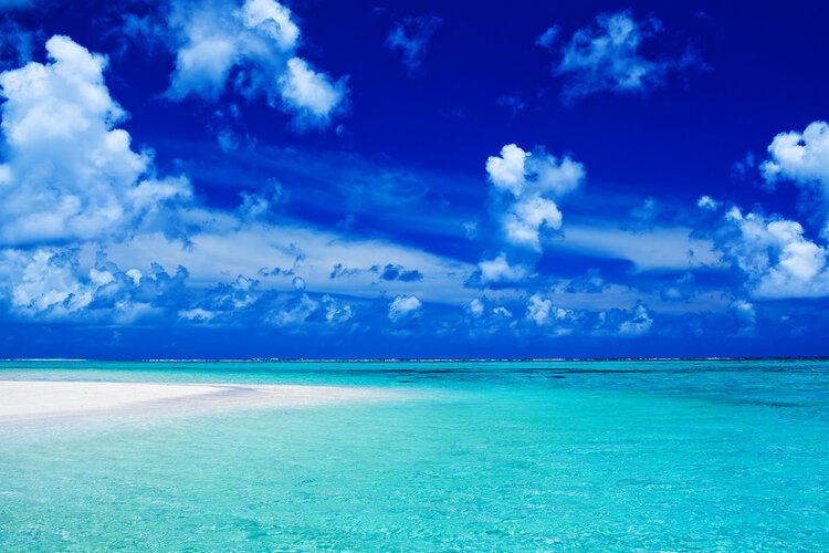 Empty beach mural with vibrant ocean and blue sky, perfect for indoor and outdoor spaces.