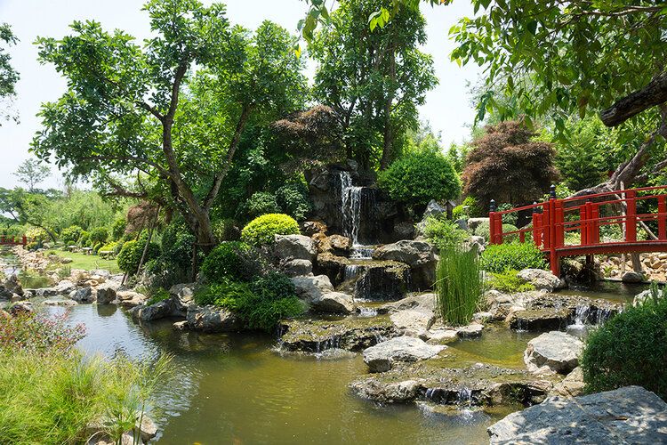 Japanese garden mural with waterfall, inspired by Nekoemon Cafe, ideal for indoor and outdoor spaces.