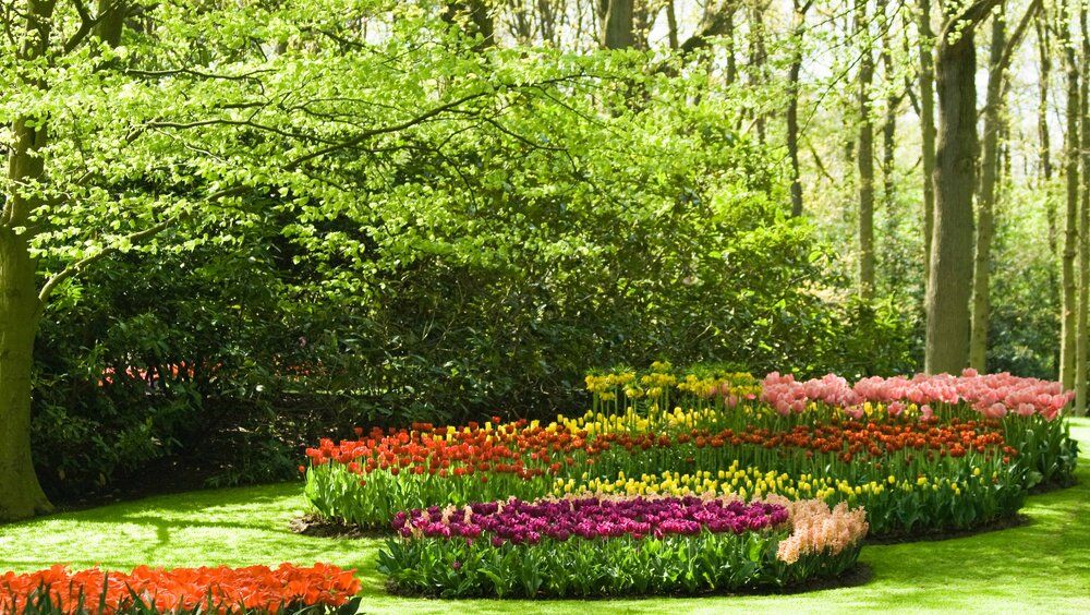 Spring garden mural with colorful flowers, perfect for brightening indoor and outdoor spaces.