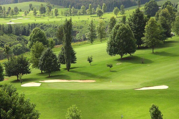 Scenic golf course mural with vibrant greens, perfect for indoor and outdoor spaces.
