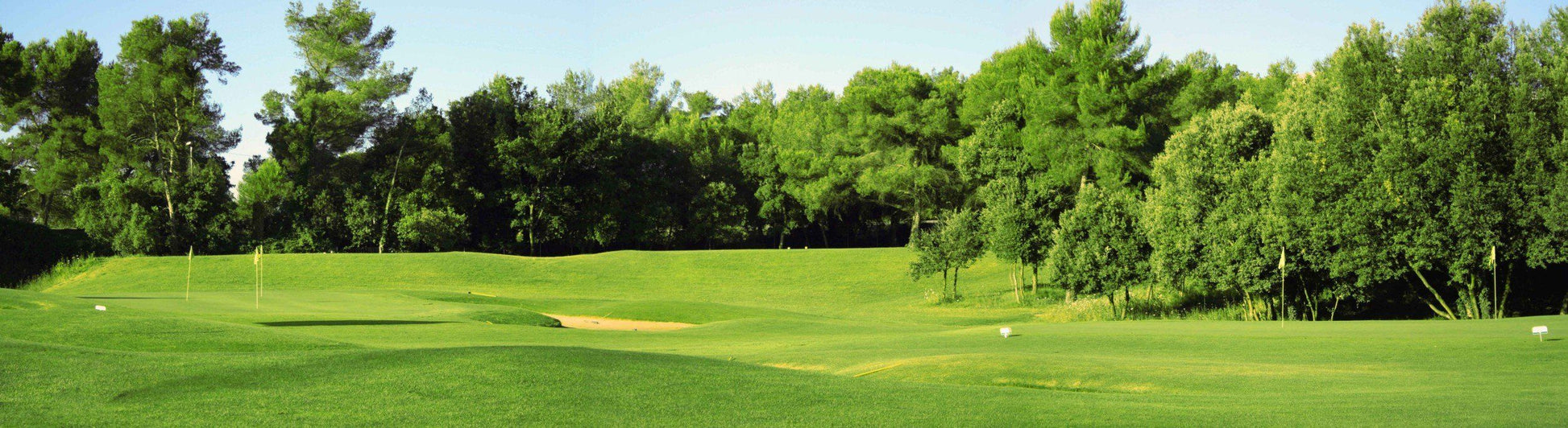 Mural of lush green golf course with trees and fairways, perfect for indoor and outdoor spaces.