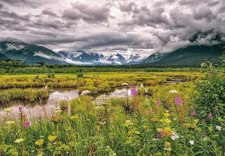 Robe Lake mural with storm clouds, mountains, and wildflowers, perfect for indoor and outdoor spaces.