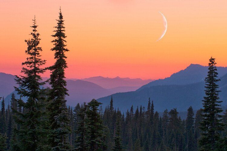 Crescent moon over purple and red mountain sunset with tree silhouettes, ideal for indoor and outdoor spaces.
