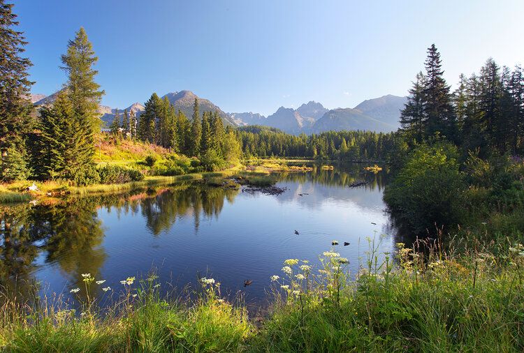 Mountain and lake mural of Strbske Pleso, perfect for indoor and outdoor spaces.