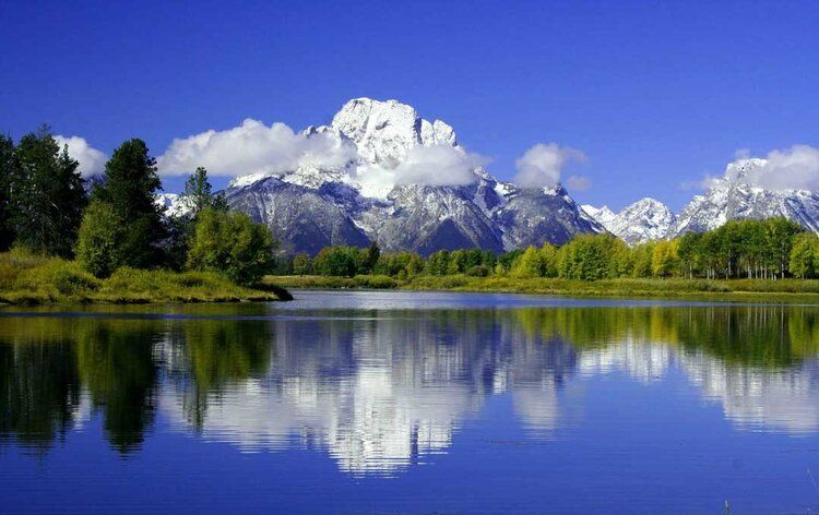 Jackson Lake mural with snowy mountains and lush trees, perfect for indoor and outdoor spaces.