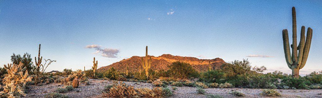 Arizona desert sunset mural, perfect for creating a warm ambiance in any space.