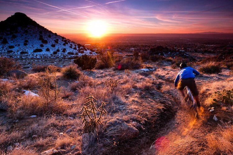 Desert sunset mural with mountain biker on trail, ideal for indoor and outdoor spaces.