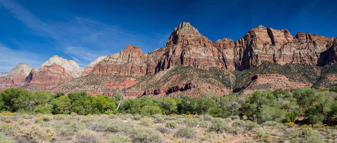 Panoramic mural of Zion's cliffs and rock formations, perfect for indoor and outdoor spaces.