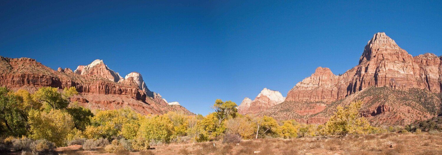 Panoramic mural of Zion's red cliffs, perfect for enhancing indoor and outdoor spaces.