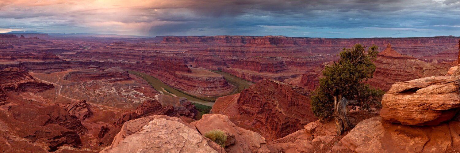 Panoramic mural of Dead Horse Point overlooking Colorado River, ideal for indoor and outdoor spaces.