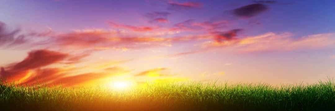 Panoramic sunset mural with green grass, ideal for creating a tranquil indoor or outdoor space.