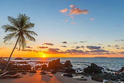 Sunset mural with palm tree silhouette and ocean view, perfect for indoor and outdoor spaces.