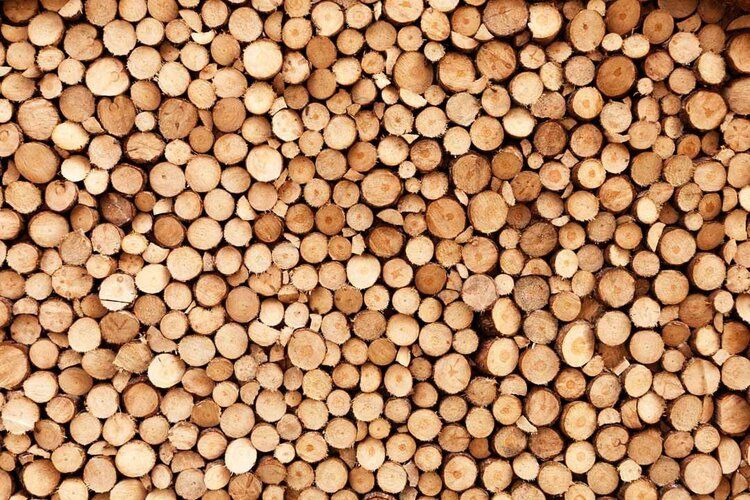 Close-up of stacked firewood mural, ideal for enhancing indoor or outdoor spaces with rustic charm.