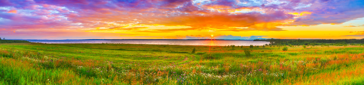Panoramic sunset over Kama River with flower meadow, perfect for indoor and outdoor spaces.