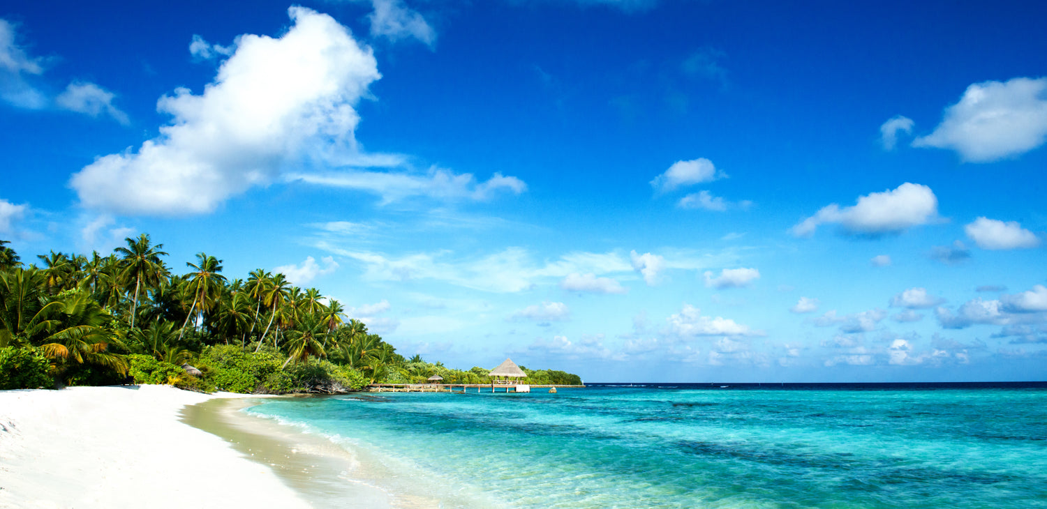 Tropical Maldivian beach mural with white sand and blue ocean, perfect for indoor and outdoor spaces.