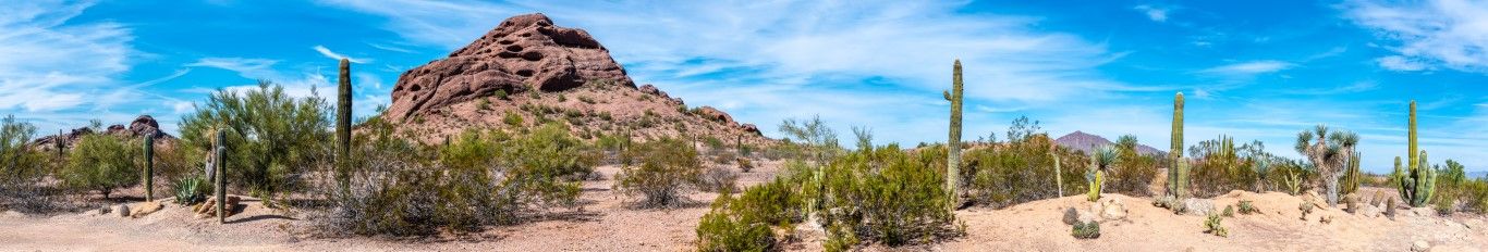 0504 - Sonoran Desert Treasures, LD, Arizona, Panoramic