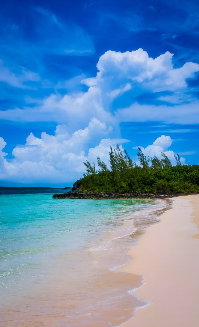 0621 - Tropical Shores, SC, Panoramic