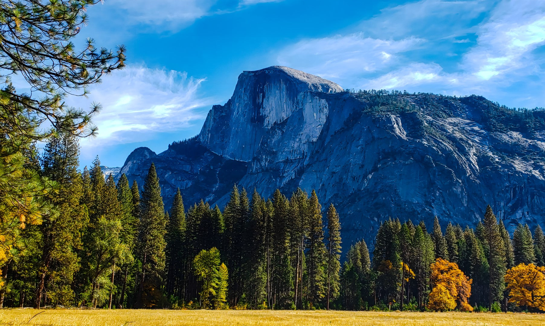 0607 - Half Dome Vista, California, SC, Square