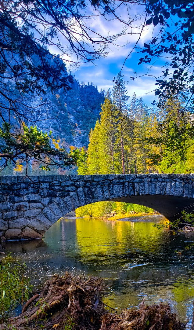 0619 - Autumn in Yosemite, California, SC, Square