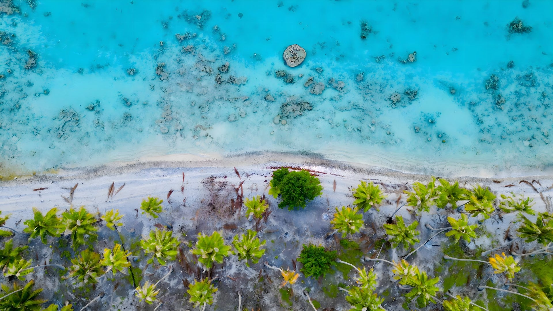 0617 - Tahitian Beach Bliss, French Polynesia, SC, Panoramic
