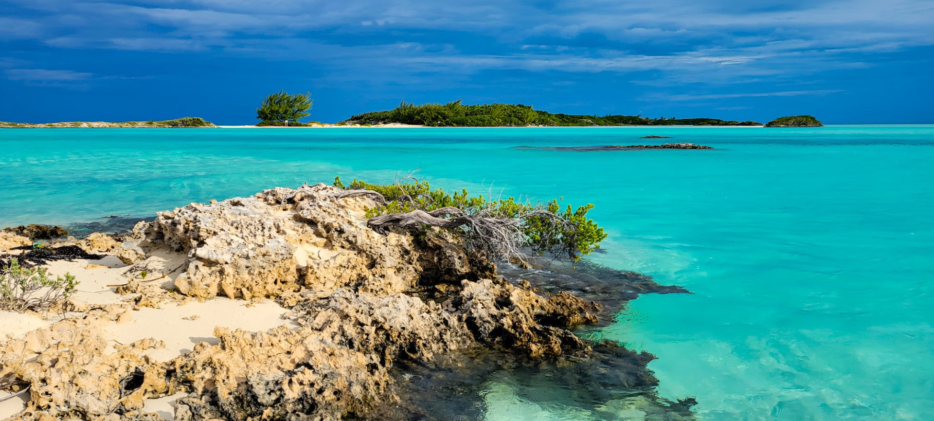 0612 - Jagged Bahamian Shoreline, Bahamas, SC, Square