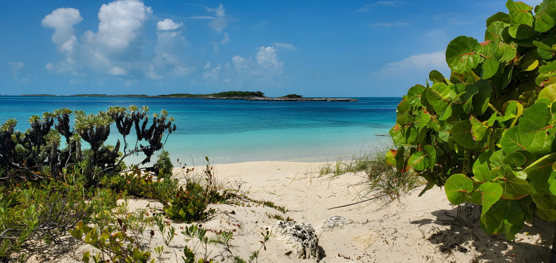 0614 - Pelican Beach, Bahamas, SC, Panoramic