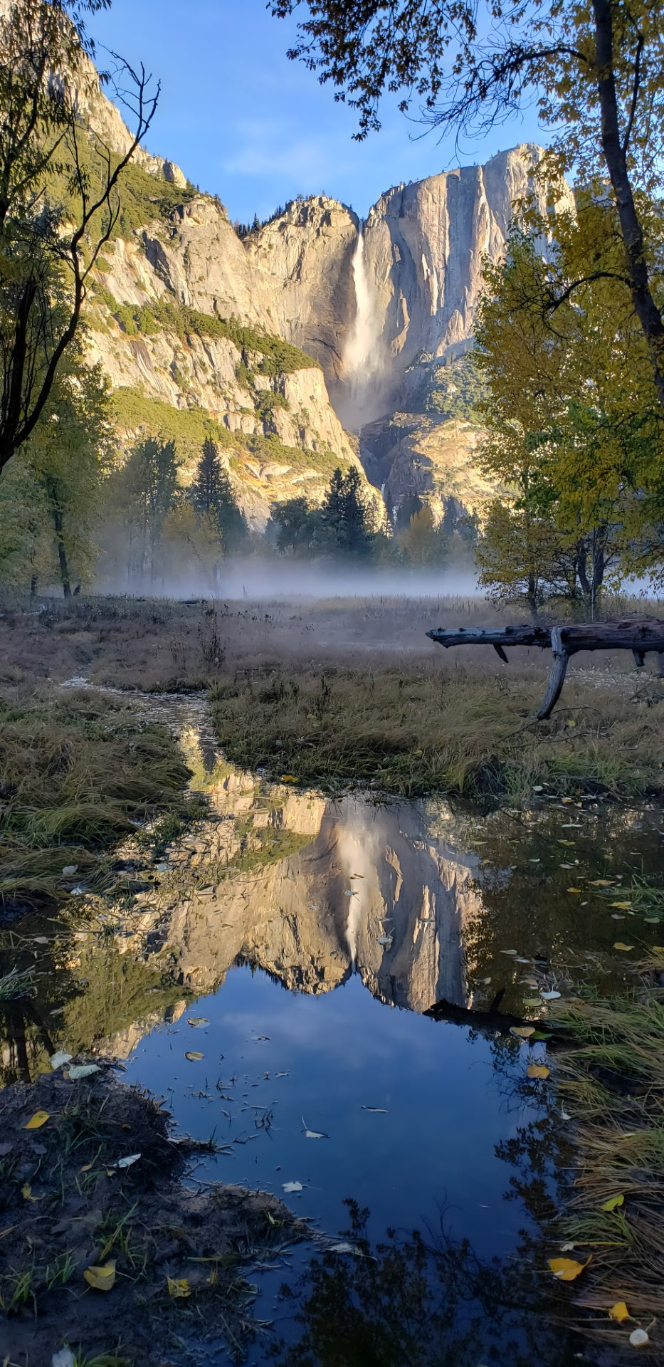 0602 - Iconic Yosemite Falls, California, SC, Square