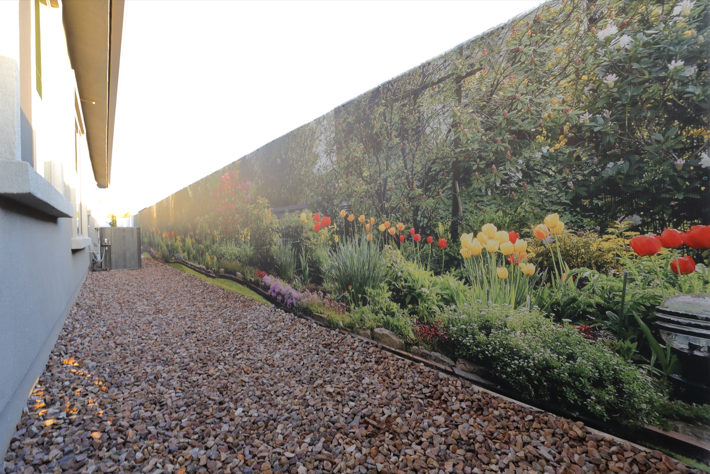 8141 - Flower Garden, Panoramic