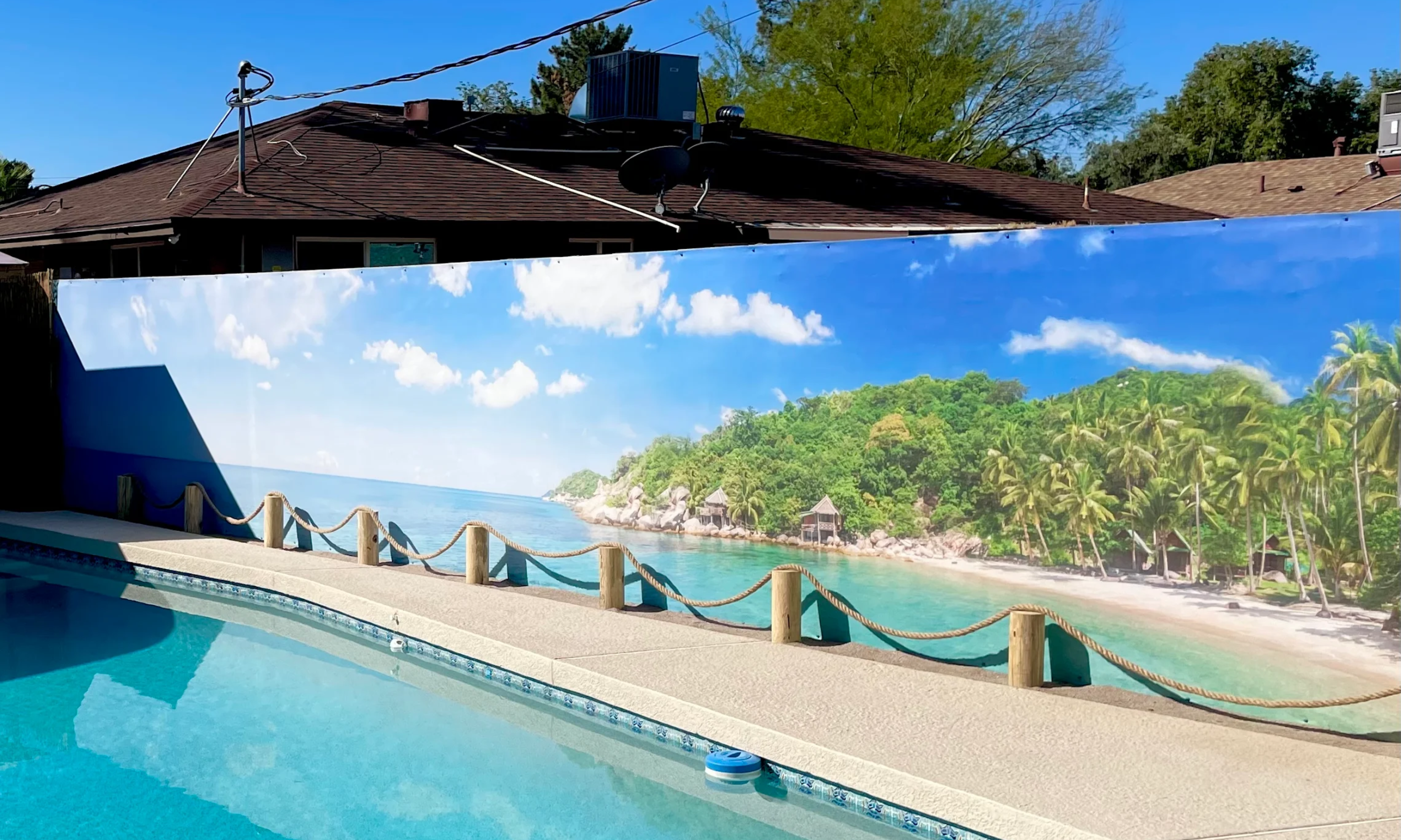 Ocean palm tree mural along outdoor residential backyard pool
