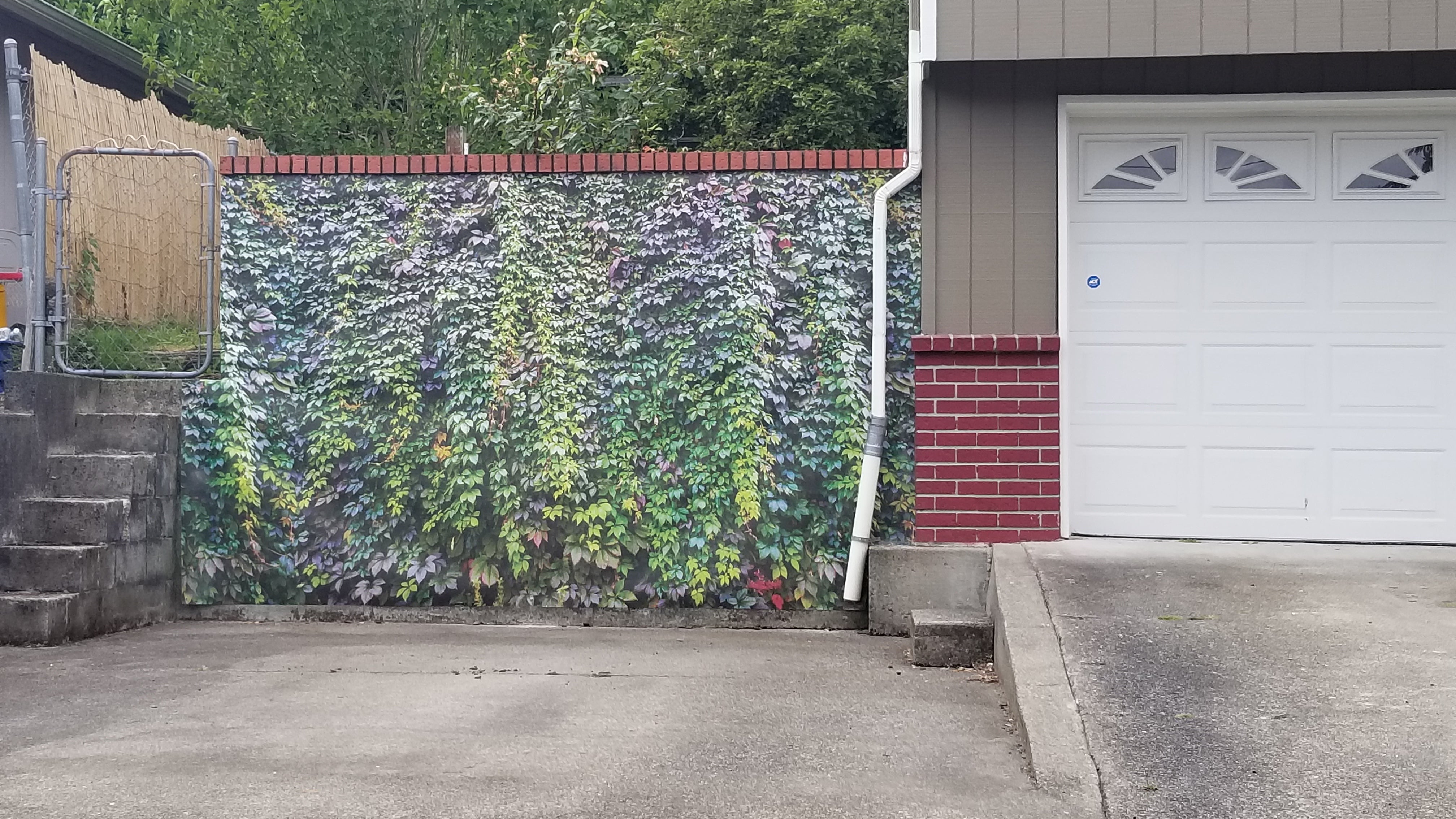 0053 - Nature’s Vines, Panoramic