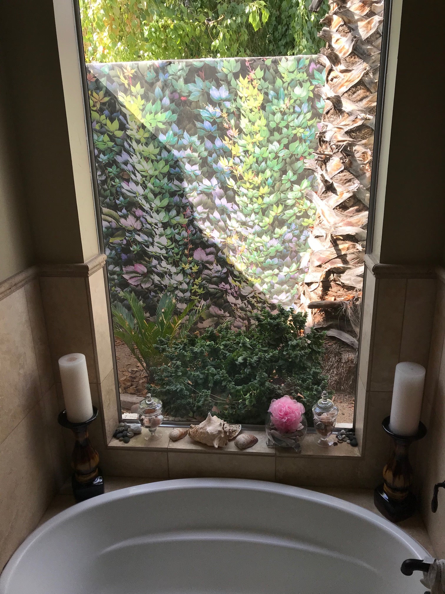 0053 - Nature’s Vines, Panoramic