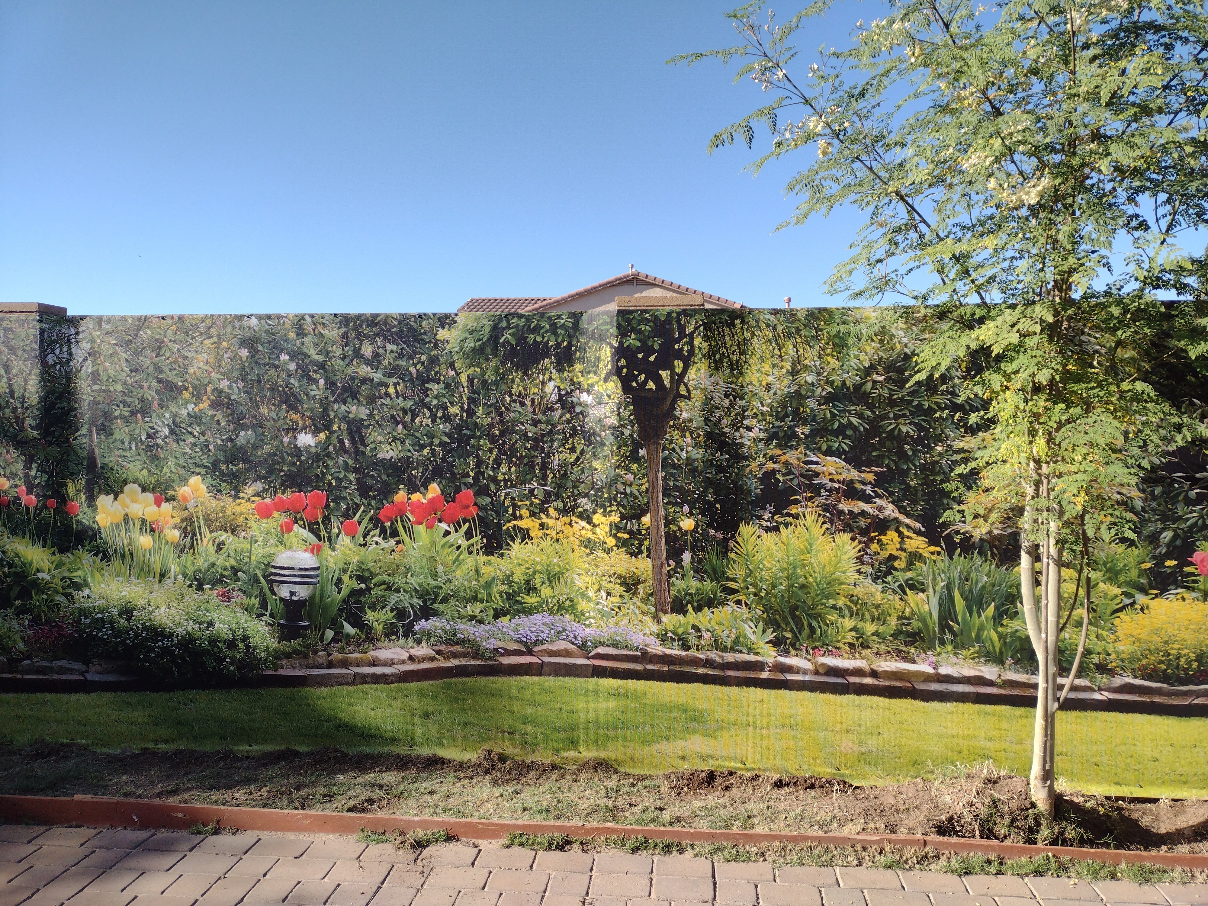 8141 - Flower Garden, Panoramic