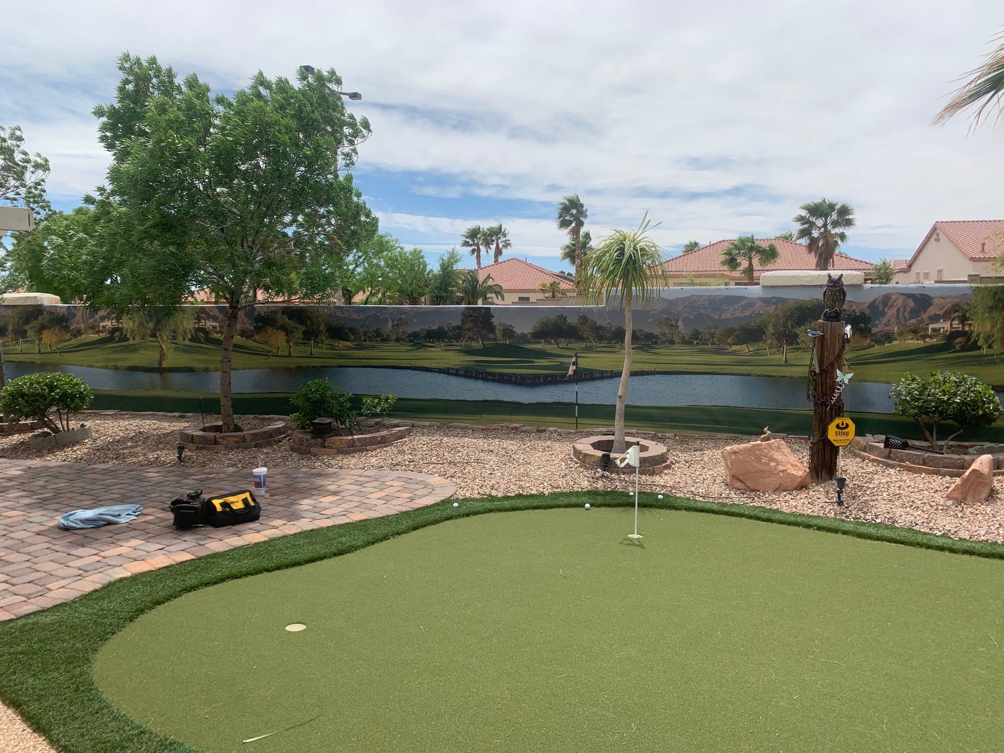 2642 - Palm Springs Golf Oasis, California, Panoramic