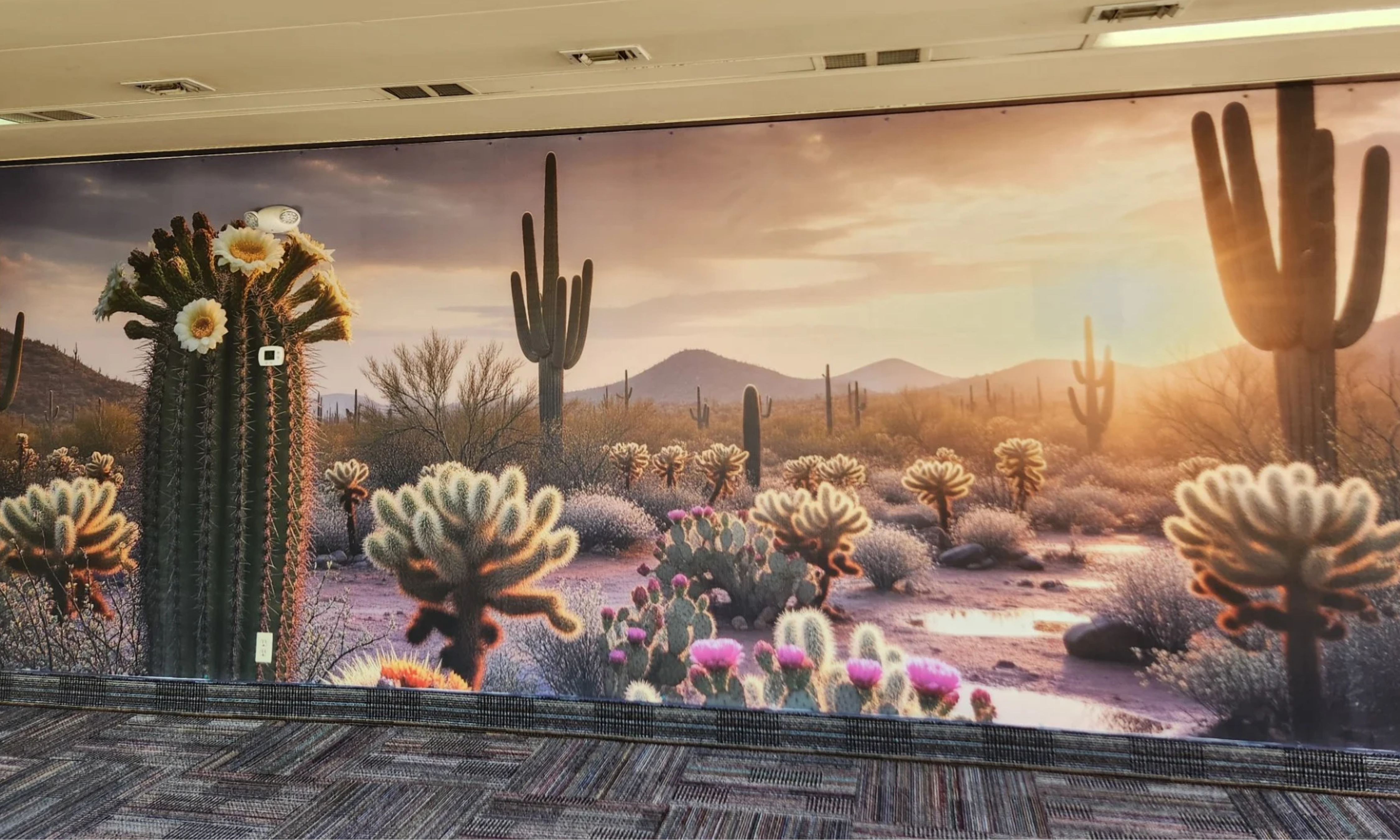 Southwest desert scenery custom indoor wallpaper