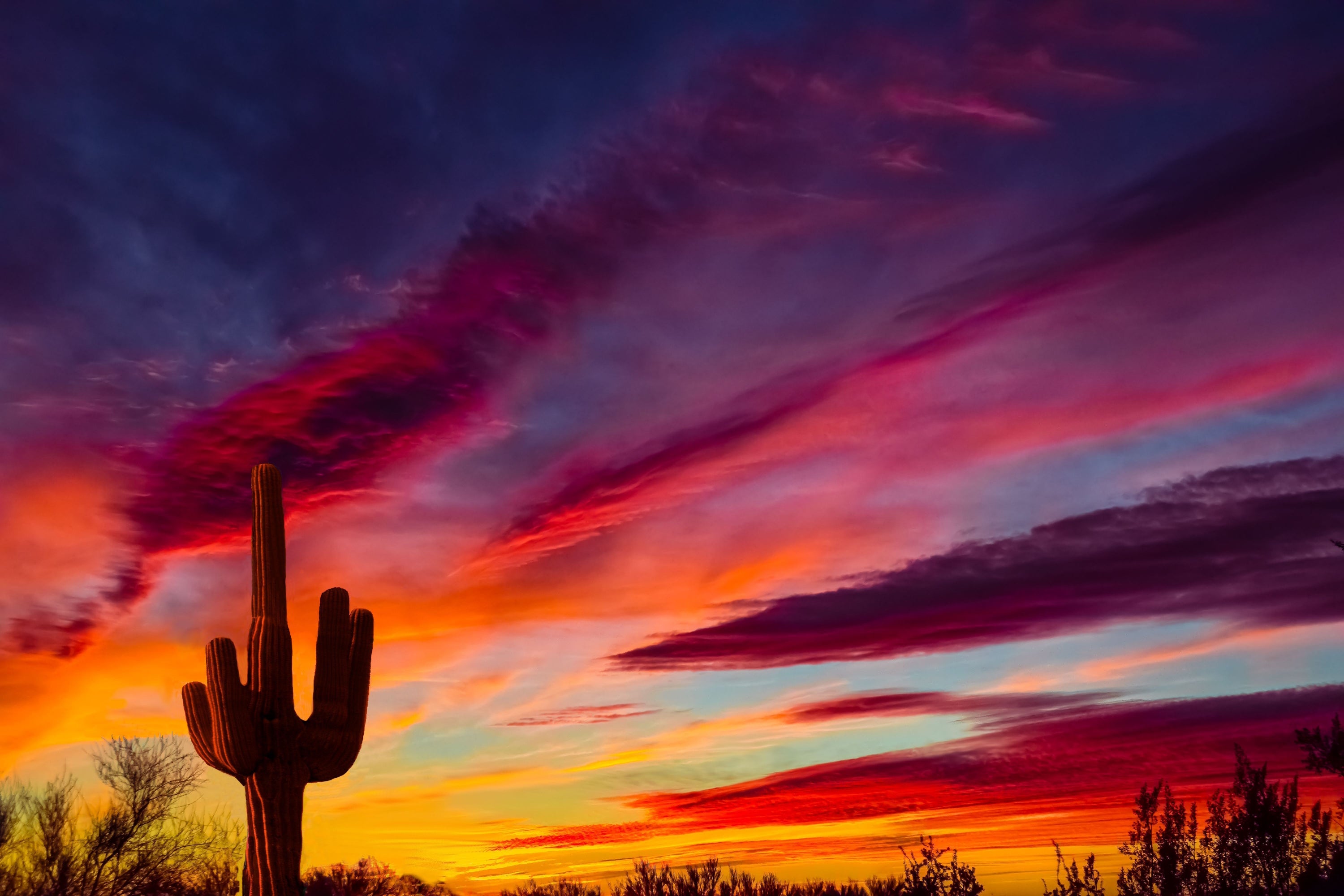 1524 - Vibrant  sunset in the desert