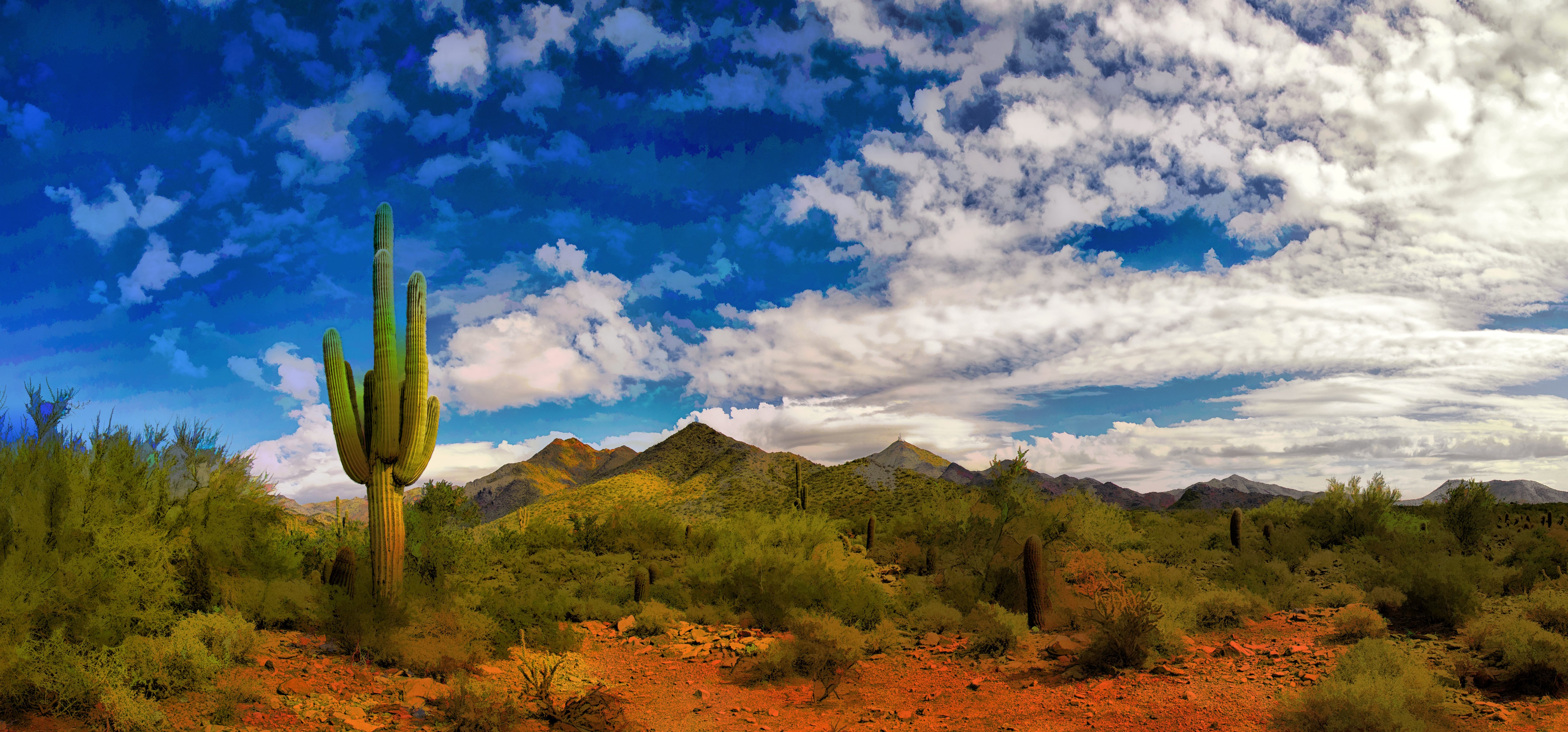5695 - Artistic Southwestern Scerny