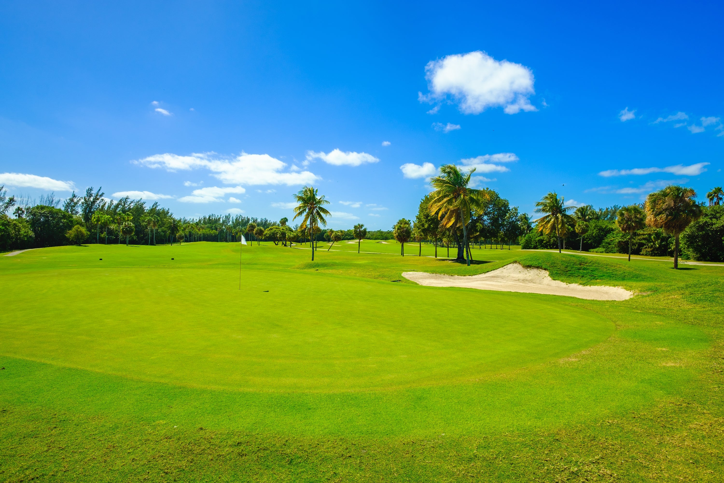 8973 - Scenic golf farway