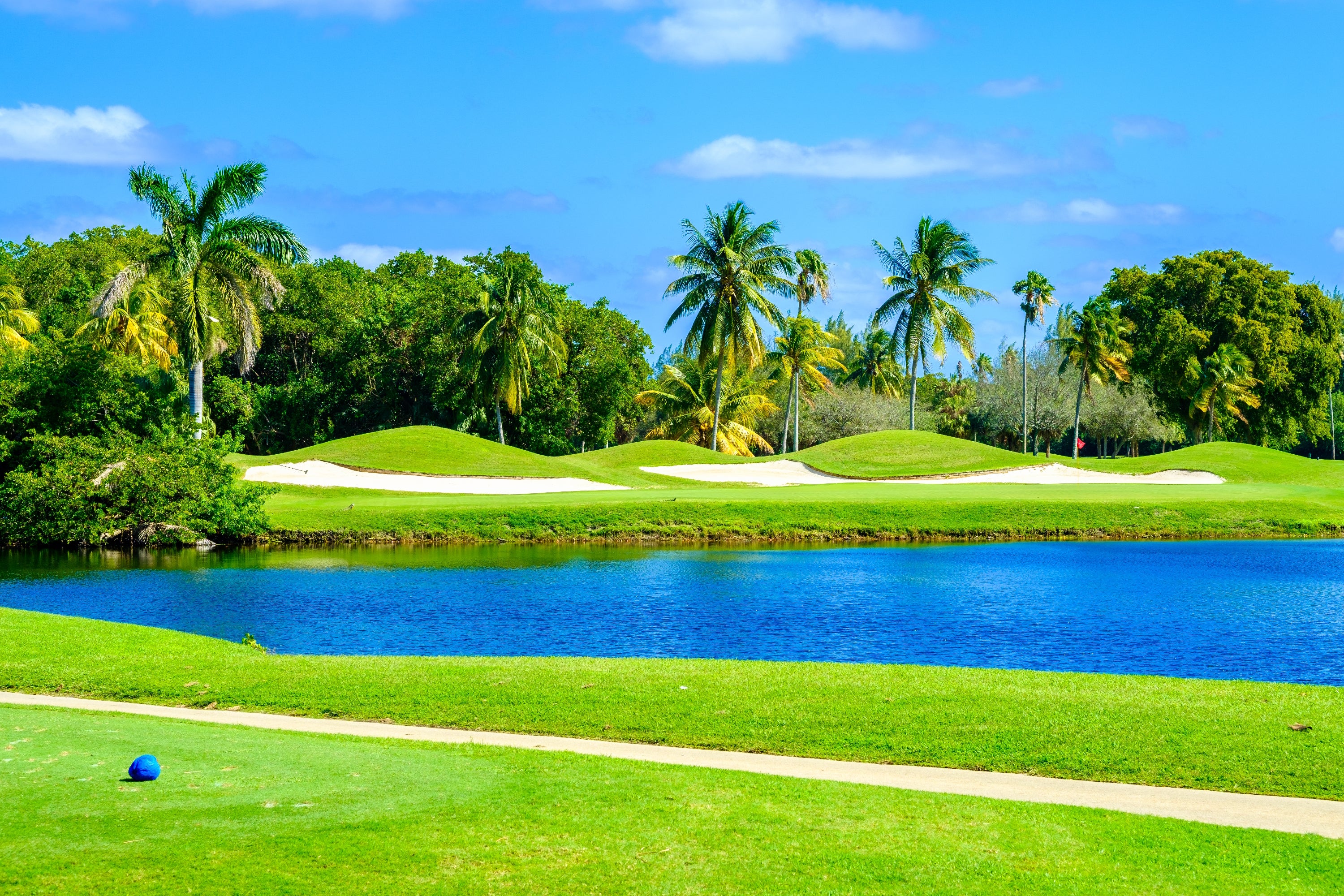 9209 - Palm trees, Golf farway, Over looking water hazard