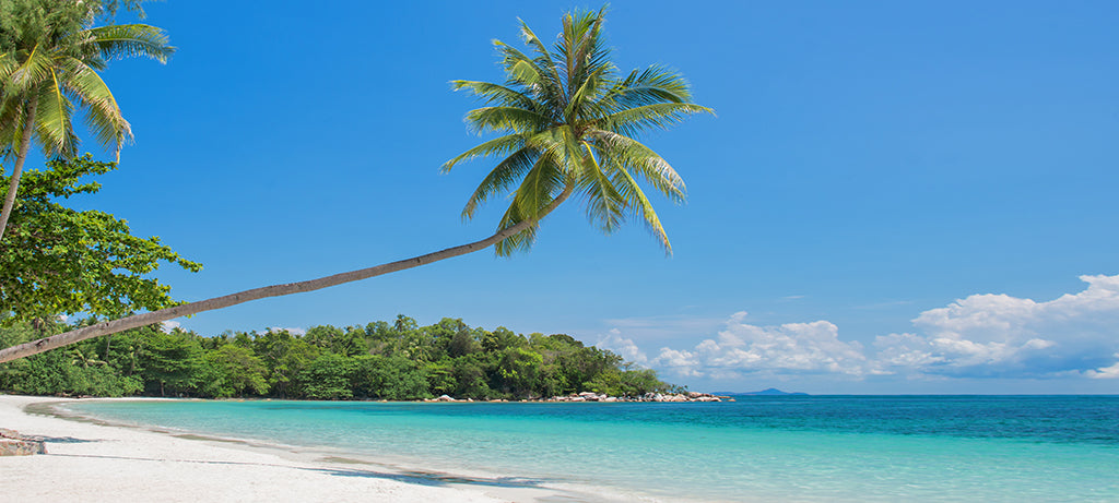2978, Bintan Island, Indonesia, Panoramic