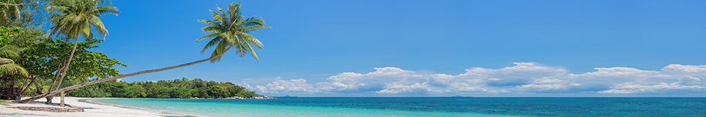2978, Bintan Island, Indonesia, Panoramic