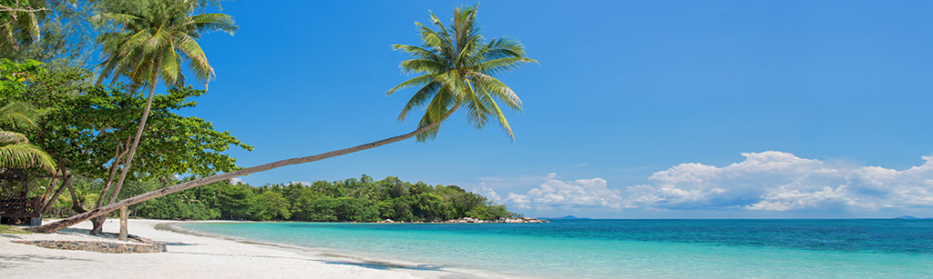 2978, Bintan Island, Indonesia, Panoramic