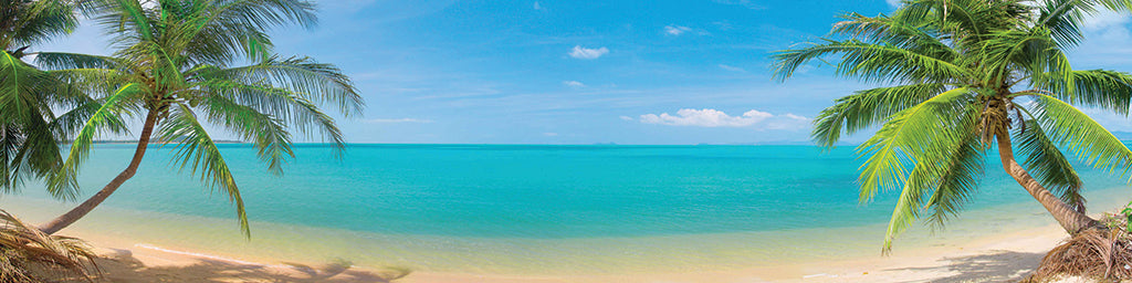 7092, Palm Lined Beach Hideaway, Panoramic
