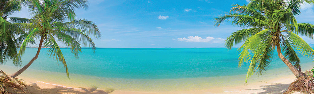 7092, Palm Lined Beach Hideaway, Panoramic