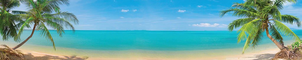 7092, Palm Lined Beach Hideaway, Panoramic